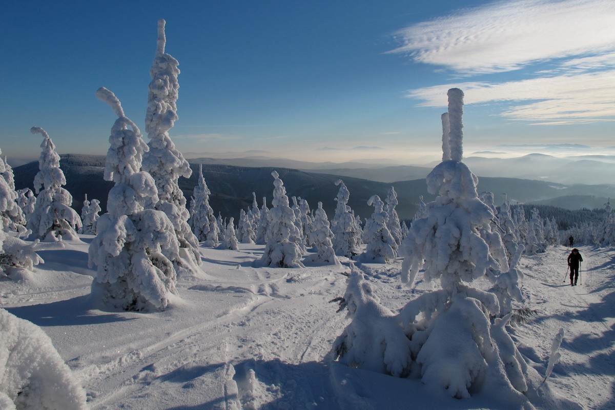 img00012.jpg