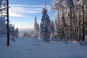 thn00010.jpg