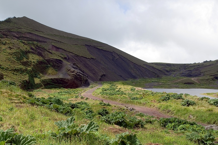 img00174.jpg