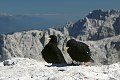 thn00030.jpg
