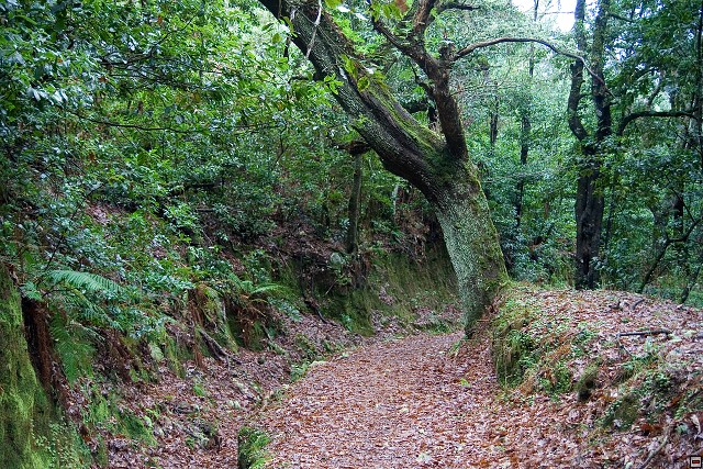 img00124.jpg